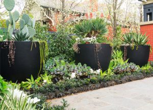 Pietro Stoneware Eggpot